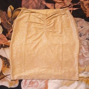 Shimmery knee length Skirt